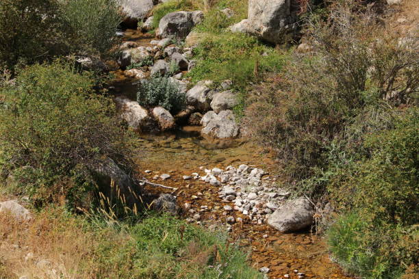 istock Stream flowing through rocks in sunny weather 1432349591