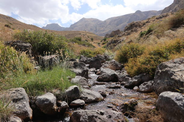istock Stream flowing through rocks in sunny weather 1432349793