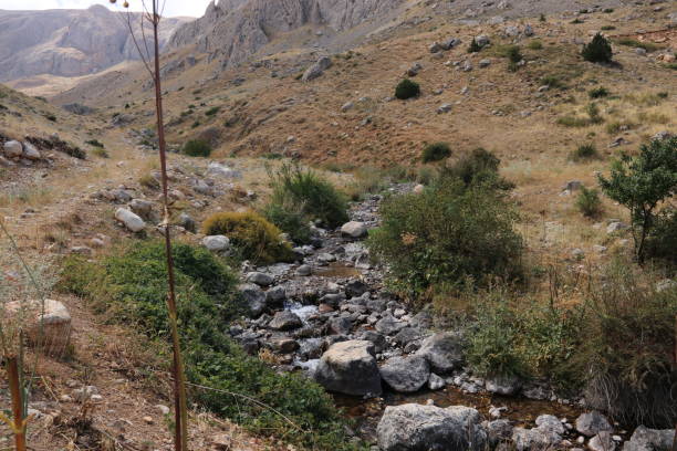 istock Stream flowing through rocks in sunny weather 1432349953