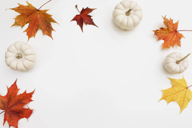 istock Natural autumn decorative frame. Little white pumpkins, colorful red, orange maple fall leaves isolated on white table background. Fall, Halloween. Thanksgiving design. Flat lay, top view. Copy space. 1432350632
