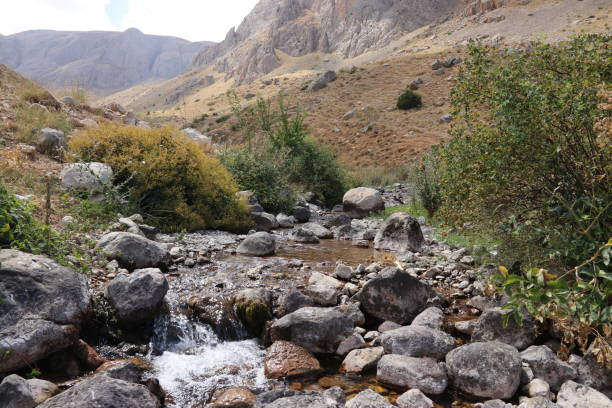 istock Stream flowing through rocks in sunny weather 1432351128