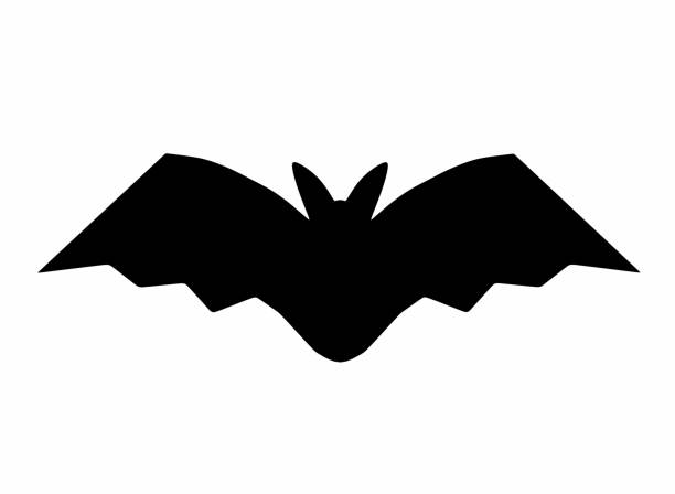 silhouette of a bat on a white background 3d-rendering.