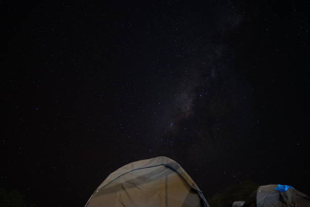 istock Campsite under the stars at Serengeti 1432354132