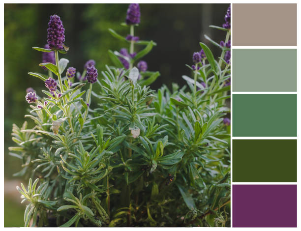 istock Natural color palette. Harmonious colour combinations. 1432355307