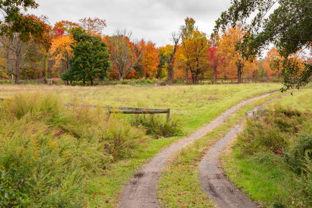 istock Upstate New York in Autumn 1432356551
