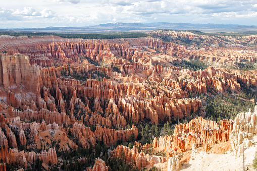 Bryce Canyon - red spiky rocks in Bryce Canyon National Park in Utah. Bryce canyon amphitheater overlook with fascinating red and orange rocks in the golden hour