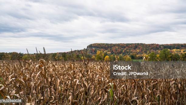 Farm Field And Niagara Escarpment During Autumn In Milton Ontario Canada Stock Photo - Download Image Now