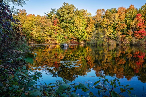 A beautiful view of autumn at Mill Pond in Centennial Park, Milton, Ontario, Canada
