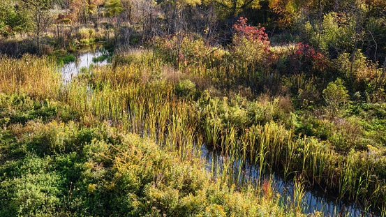 A creek during autumn in Milton, Ontrio, Canada