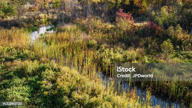 A Creek During Autumn In Milton Ontrio Canada Stock Photo - Download Image Now - Autumn, Beauty, Bright