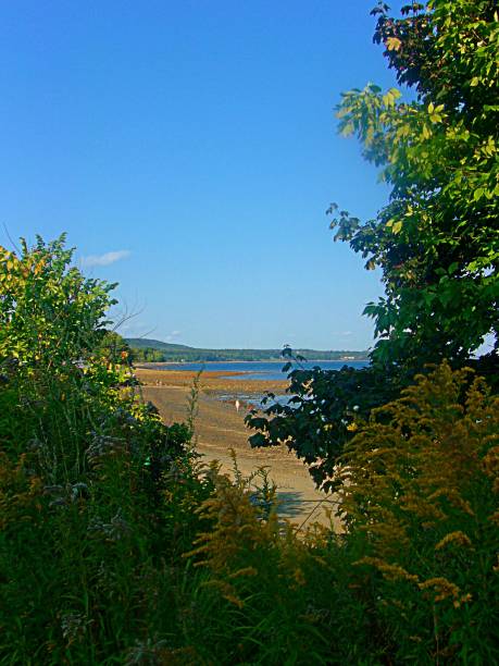 istock Lincolnville, Maine 1432361448