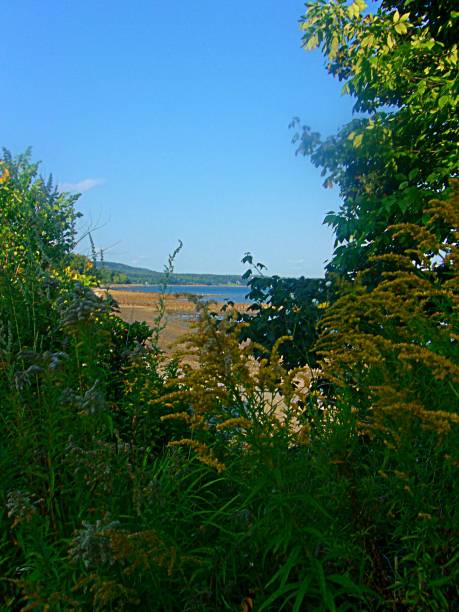 istock Lincolnville, Maine 1432361450