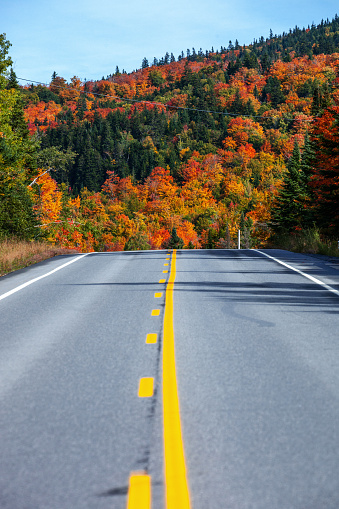 Colorful autumn landscape in northern Maine near Canadian border. USA