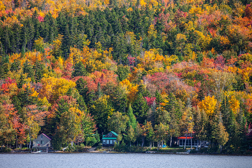 A few country houses on lakeshore. Maine, USA