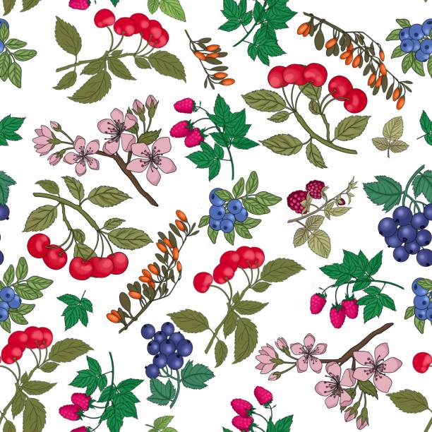 ręcznie rysowane gałęzie jagód bezszwowy wzór. kolorowe tło ze świeżymi truskawkami, jagodami, wiśniami. - berry fruit blueberry floral pattern strawberry stock illustrations