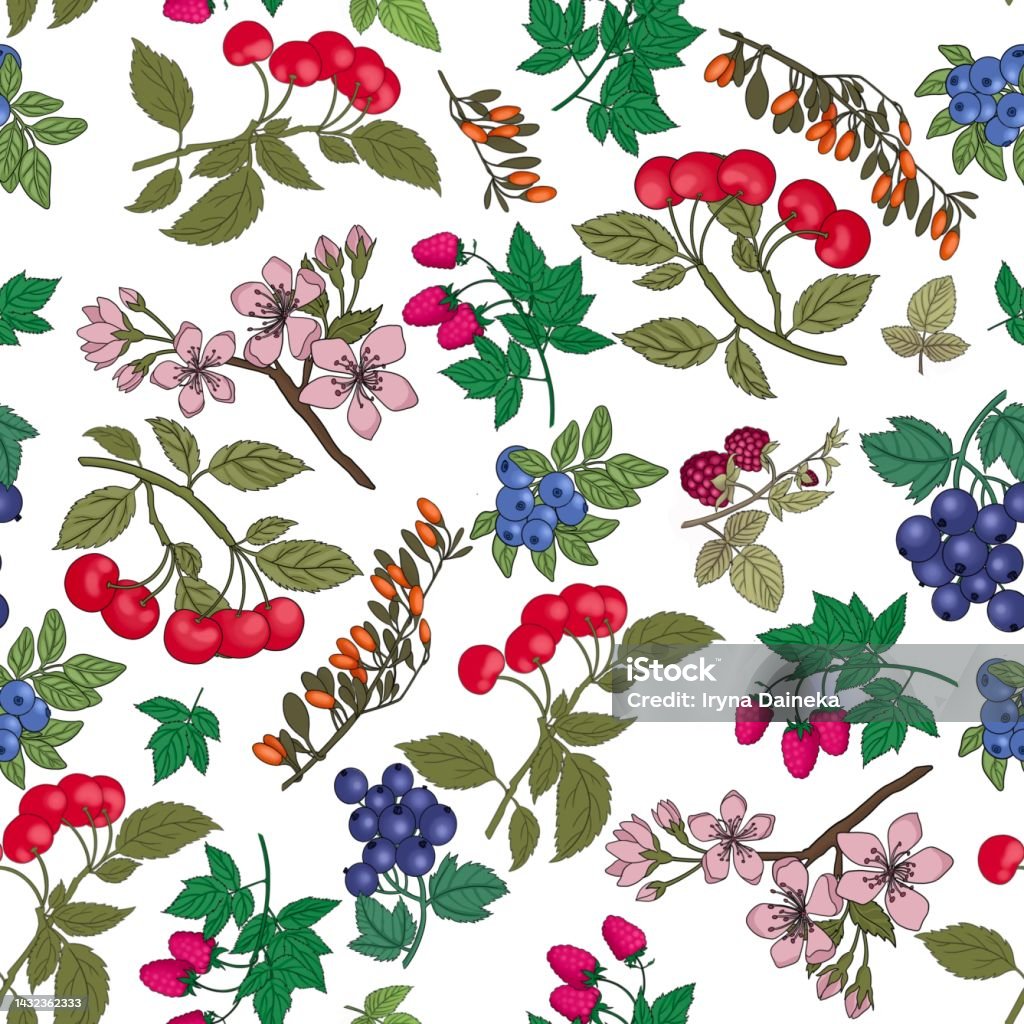 Berry Pattern Background Hand Drawn Berry Branches Seamless Pattern Colorful Background With ...