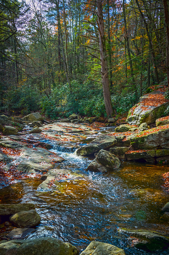 A woosland stream during Autumn in Lake Minnewaska Park and Preserve in New Paltz New York.