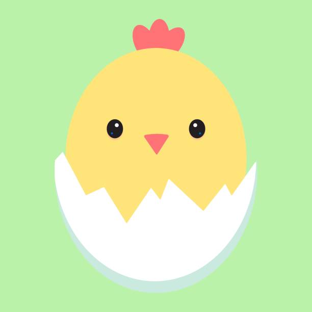 Birthday card. Yellow chicken in a shell. Children's print. Vector illustration Birthday card. Yellow chicken in a shell. Children's print. Vector illustration. birthday and invitation card animal background with chicken stock illustrations