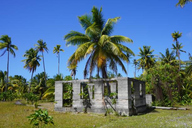 istock Palm Tree growing out of a Roofless, Ruined Building 1432370991