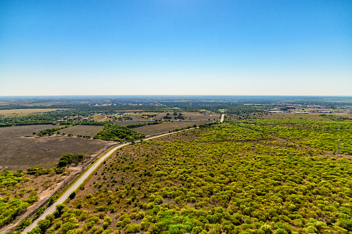 The forested rural landscape less than thirty miles northeast of the city of Austin, Texas shot from an altitude of about 800 feet.