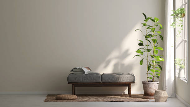 istock Healthy green fiddle leaf fig trees and bench in cream colored wall room with sunlight from window 1432374954