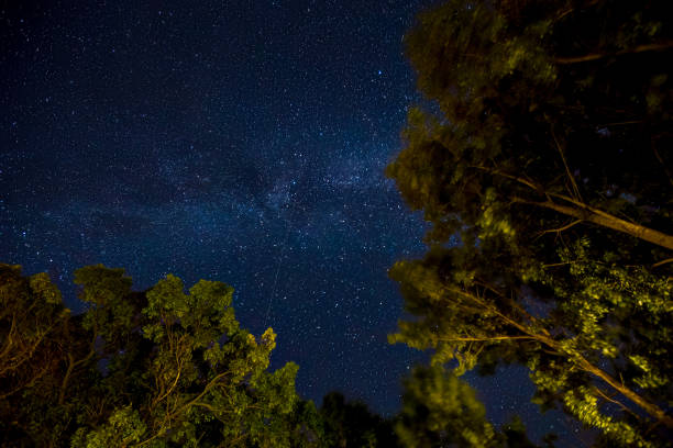 The night sky, as captured from a Provincial Park along Lake Ontario. The night sky, as captured from a Provincial Park along Lake Ontario. stars in your eyes stock pictures, royalty-free photos & images