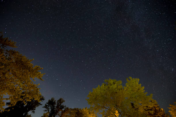 The night sky, as captured from a Provincial Park along Lake Ontario. The night sky, as captured from a Provincial Park along Lake Ontario. stars in your eyes stock pictures, royalty-free photos & images