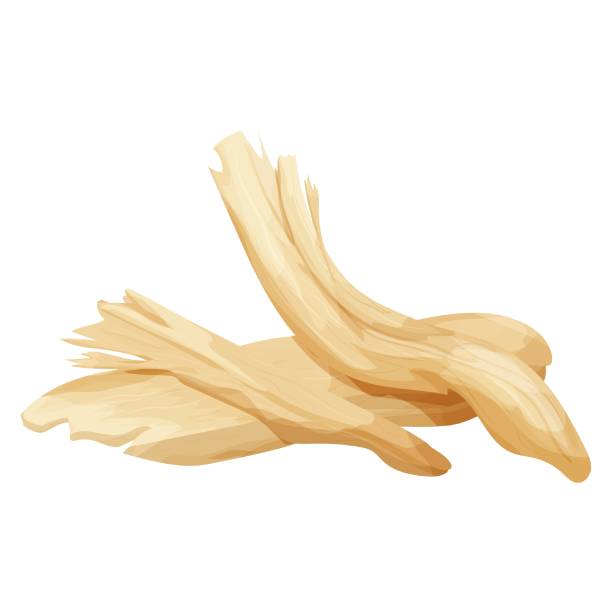 Set of pieces chicken meat, chopped, shredded detailed isolated on white background. Ingredient in portion. Vector illustration Set of pieces chicken meat, chopped, shredded detailed isolated on white background. Ingredient in portion. Vector illustration shredded chicken stock illustrations