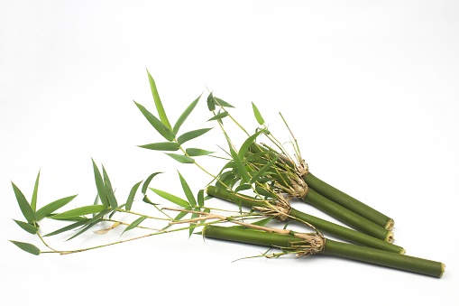 Green bamboo with leaves isolated on white background