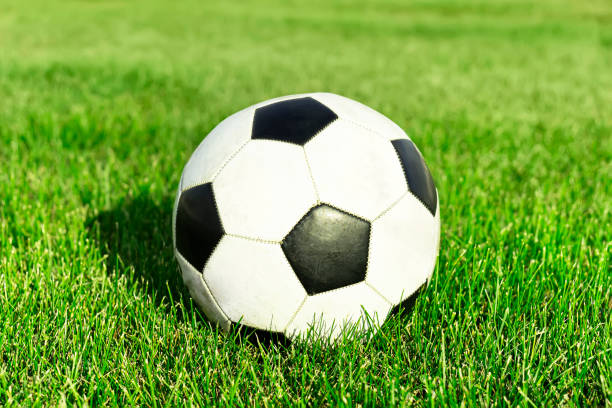 istock Classic soccer ball, typical black and white pattern, placed on spot of the stadium turf. Traditional football ball on the green grass field of arena. 1432381299