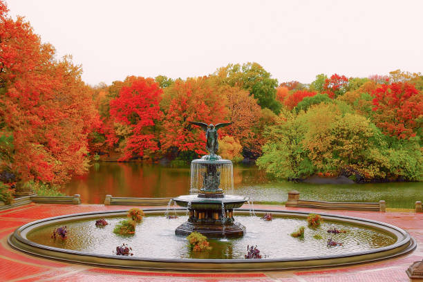 central park - autumn park central park lake foto e immagini stock