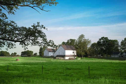 Old Barn in early morning-Hamilton County, Indiana