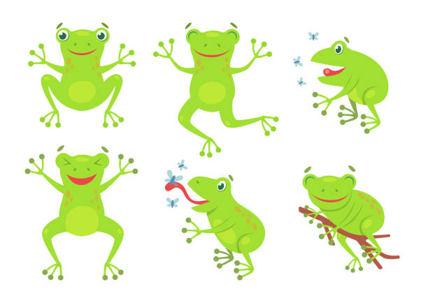 illustrazioni stock, clip art, cartoni animati e icone di tendenza di set di illustrazioni di cartoni animati di rane carine - frog catching fly water