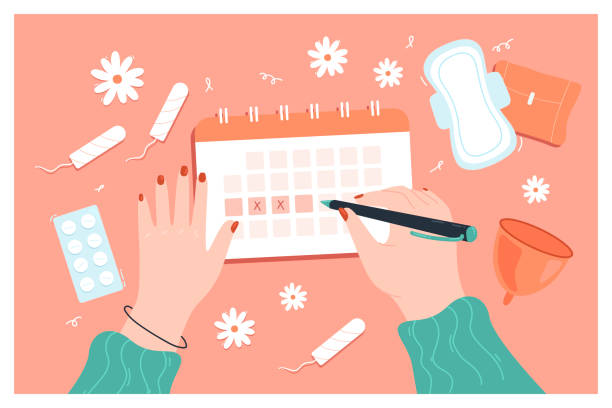 Female hands marking days of period in calendar vector art illustration