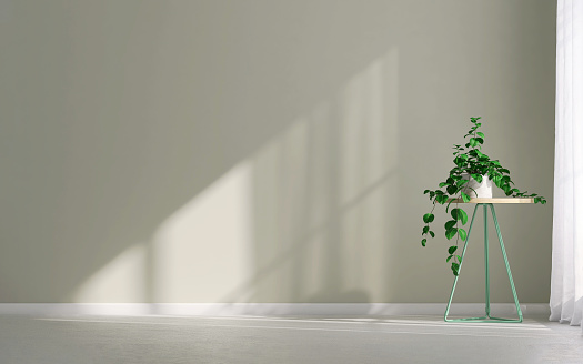 Beautiful and healthy tropical creeper plant in concrete pot on wooden top side table in pastel green wall room with sunlight from window for nature and home decoration concept