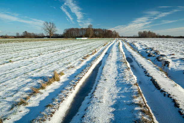 Snow-covered road and rural fields on a sunny day