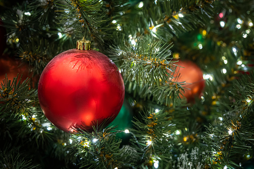 on the branch of the green Christmas tree hangs Christmas toy in the shape ball of red on a green background. christmas background. pink ball on a Christmas tree branch