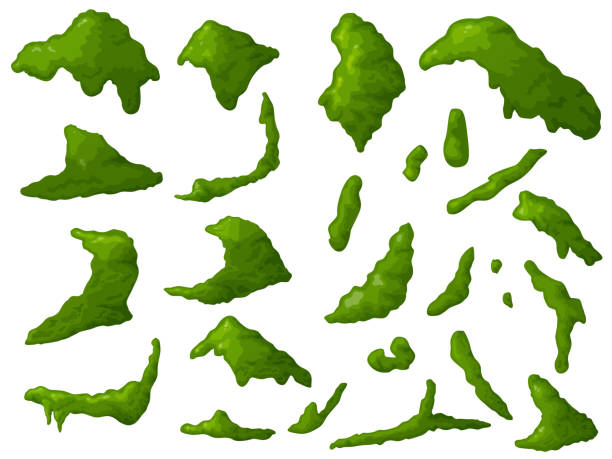 ilustrações de stock, clip art, desenhos animados e ícones de swamp moss of different shapes. forest lichen. illustration for computer games. - bog