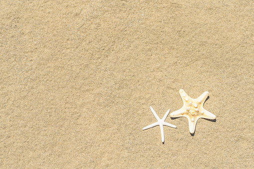 Starfishes on sand. Sea summer vacation background. Copy space for the text. Top view