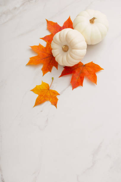 istock white pumpkins and orange maple leaves  on white marble background 1432396298