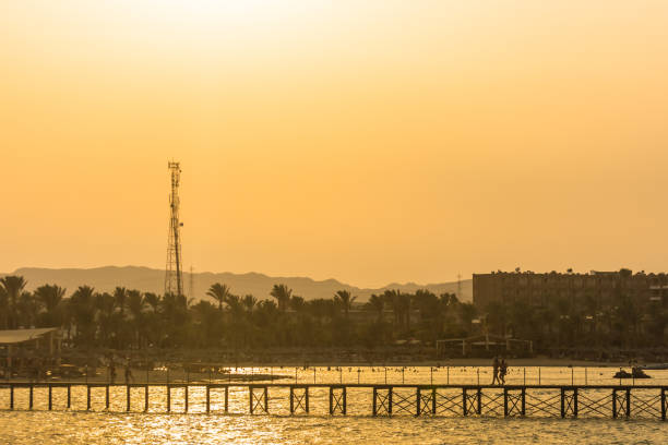 istock sunset with palm trees a jetty and landscape in egypt 1432396784