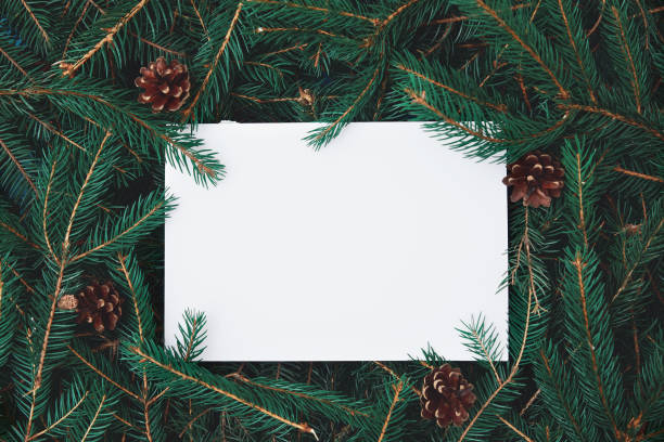 istock White blank lies  on Christmas tree branches. Christmas composition. Nature New Year concept. 1432397925