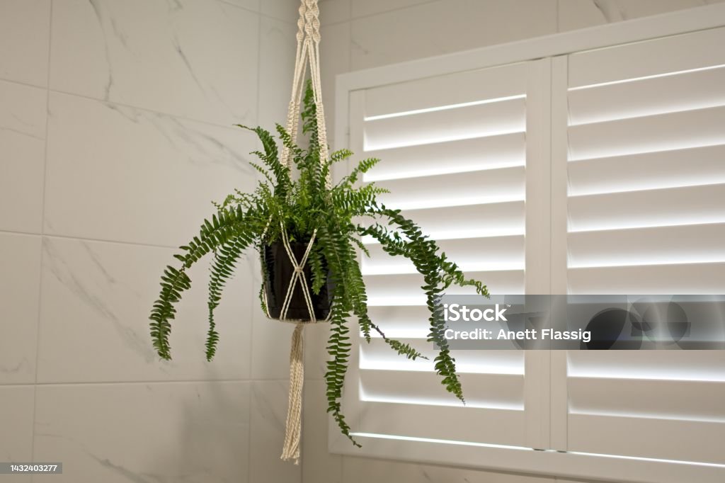 Plantation shutters - Royaltyfri Fönsterlucka Bildbanksbilder Plantation shutters - Royaltyfri Fönsterlucka Bildbanksbilder