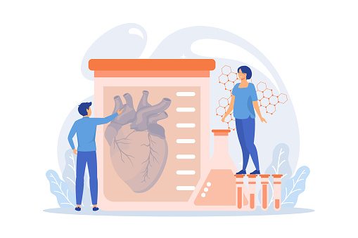 Scientists growing big heart in test tube in laboratory. Lab-grown organs, bioartificial organs and artificial organ concept on white background. flat vector modern illustration