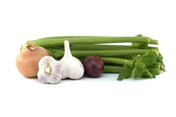 Red and yellow onions and garlic bulbs in front of fresh celery stalk, spices and flavoring theme still life isolated on white background