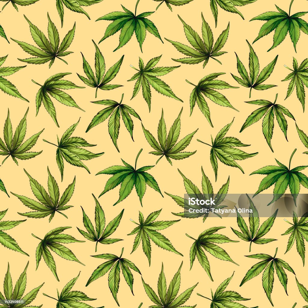 Marijuana Vector Pattern Marijuana Seamless Pattern Green Hemp Leaves Stock Illustration ...
