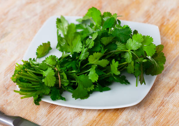 istock Fresh bunch of cilantro on a white plate 1432408903