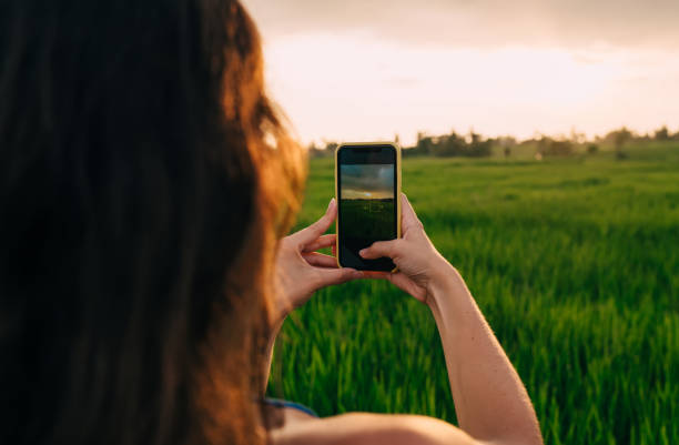istock Back view of female blogger using cellphone technology for photographing rice fields during Indonesian vacations in Ubud, woman shooting video vlog connecting to roaming internet for mobility 1432412091
