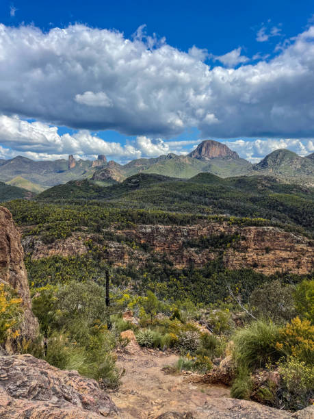 istock Warrumbungle National Park Australia 1432412720