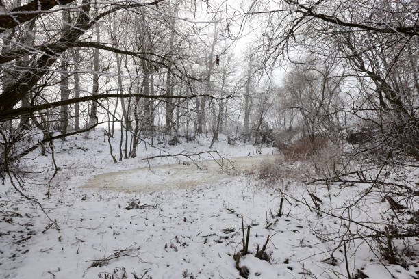 冬季の雪と氷に覆われた沼地 - unfrozen ストックフォトと画像